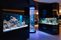 //iprorwxhpjjnlr5q.ldycdn.com/cloud/pjBpiKnllqSRqlkikqplip/Custom-Acrylic-Aquarium-Design-Flexibility-Showcase.jpg